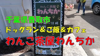 千葉県香取市　わんこ茶屋わんちか