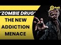 Know about the 'Zombie Drug' that is destroying lives in USA | In Depth