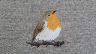 สอนปักนก : ปักสั้นยาว : ปักซอย : Bird embroidery : hand embroidery : long \u0026 short stitch