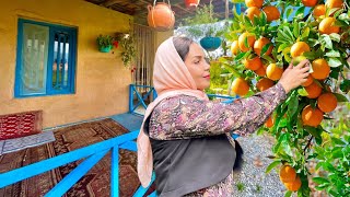 Salted mixed vegetables pickle 🥕🥦 in the #Village | village lady