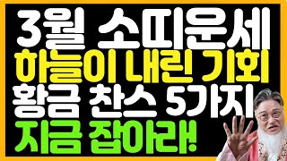 [ 3월 소띠 운세] 운명이 바뀌는 달! 대박 잡는 초특급 기회, 절대 놓치지 마라!