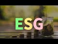 What is ESG?🦝