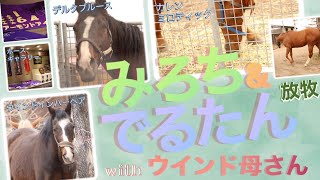 【まったりゴールデンウイーク　with ウインドインハーヘア】カレンミロティックとデルタブルース　2021年4月　ノーザンホースパーク撮影