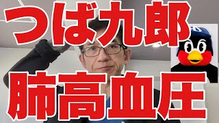 【つば九郎逝去】プロ野球ヤクルトスワローズの球団マスコットつば九郎が、2月4日に空港で倒れ心肺停止で入院加療も19日に永眠。死因は肺高血圧症とのこと。肺高血圧症とは？