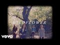 King Kuda - Wildflower