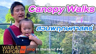 กิน เที่ยว เชียงใหม่ - Canopy Walks สวนพฤกษศาตร์ สมเด็จพระนางเจ้าสิริกิติ์ | VLOG IN THAILAND EP49