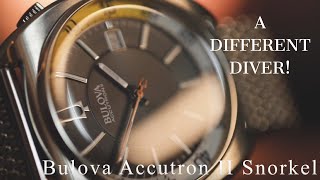 SOMETHING DIFFERENT from ALL YOUR DIVERS!!! -  Bulova Accutron II Snorkel