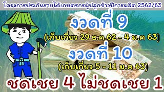 งวดที่ 9 - 10 จ่ายเงินชดเชยส่วนต่าง โครงการประกันรายได้เกษตรกรผู้ปลูกข้าวปีการผลิต 2562/63