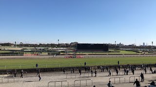 2019年12月8日　中山競馬場　7R ライブ