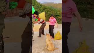 বস্তা উঠানোর পাল্লাSack lifting range #shortsfunnyvodeo #shortsviralvideos #funnycomedy