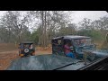 tholpetty തോൽപ്പെട്ടി wayanad wildlife sanctuary വയനാട് tholpetty jungle safari kerala wayanad