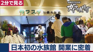 「カワスイ 川崎水族館」開業に密着！【2分で見るガイアの夜明け】（2020年8月11日OA）