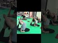 요가 선생님들의 비둘기자세~ shorts yoga