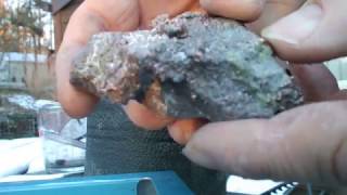 Shining Copper Nugget in Rock Tumbler