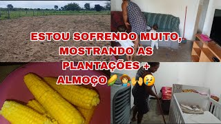 DIA PRODUTIVO🌽 AQUI NA ROÇA ESTÁ SENDO MUITO DIFÍCIL, ORGANIZEI A CASA FIZ ALMOÇO, MOSTREI AS PLANT