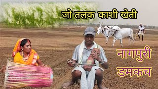 जोतल काशी खेत पयरी डमकच नागपुरी वीडियो | Jotal Kashi Khet Payri | Damkach Nagpuri video | 2024 new