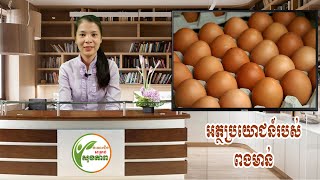 អត្ថប្រយោជន៍របស់ពងមាន់ | Benefits of Chicken Egg