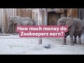 How to Become a Zookeepers - How much money they make?