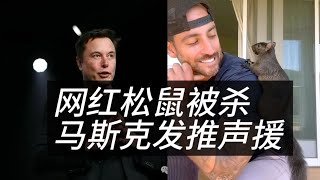 美国网红松鼠被杀事件，将会成为压倒哈里斯的最后稻草？|马斯克|松鼠peanut