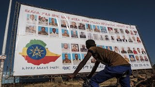 Ethiopia appoints rebel leader to head regional government