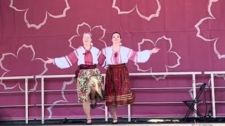 Волинь / колектив Carpathia Folk Dance / Фестиваль Sherry blossom в Вашингтоні 7 квітня 2024