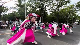 2023年　GARAN43/35°　彩夏祭【本祭2日目】朝霞