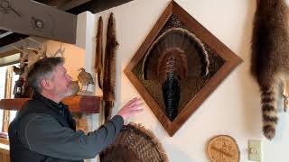 Upcycled Turkey Mount