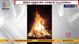 పశువుల పాకకు నిప్పుపెట్టిన దుండగులు | అధికార పార్టీ నేతలే ఈచర్యకు పాల్పడ్డారు | తెదేపా నేతల ఆరోపణలు