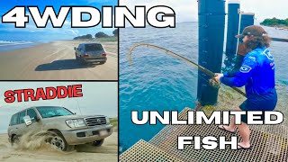 V8 Landcruiser takes on Stradbroke Island | SO MANY FISH!!