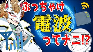 電波、電磁波！？　ぶっちゃけ何なんでしょう？【物理　波／電気／磁気】