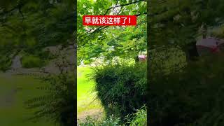 铲草机在除草 早就该这样啦