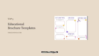 Create Stunning Educational Brochures Easily