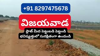 Low Cost Plots in Vijayawada for Sale || APCRDA Plots for Sale in Vijayawada | Call:  +91 8297475678