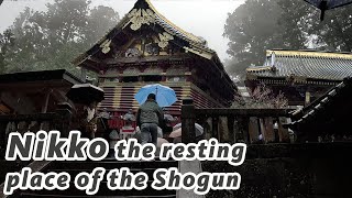 The mountain town of Nikko \u0026 Osaka shopping - Japan Vlog