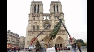 Installation Sapin de Noël - Notre Dame de Paris