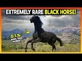 Get Legendary 100% BLACK Horse Locations (Extremely Rare) - RDR2