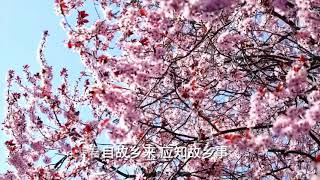 唐。王维《杂诗》《五言唐诗》《南洋风。诗词曲》Chinese Poetry （君自故乡来，应知故乡事。来日绮窗前，寒梅着花未？）