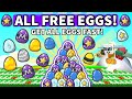 🥚[Retro Update!] How to Get All Eggs Fast in Bee Swarm Simulator 2024!