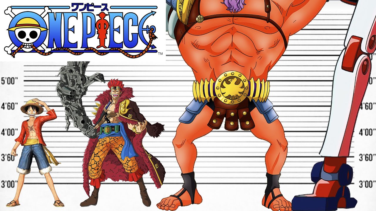 One Piece Size Comparison Tallest Characters 42 Off One Piece Size Comparison Tallest Characters 42 Off
