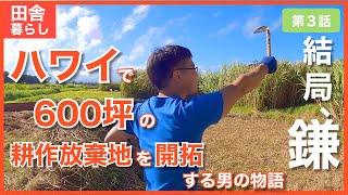 【ハワイの田舎移住生活】600坪の土地で自給自足を目指す30代男の1か月の成果　～第３話～