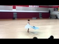 Disenchanted My Chemical Romance Colorguard Solo