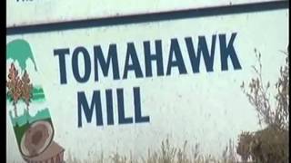 Ontonagon contractor dies of injuries from mill accident