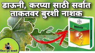 Melody Duo fungicide marathi | Melody Duo fungicide #fungicide #bayer #watermelon