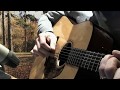 Toon de Corte - Two picks flatpicking on acoustic guitar