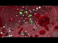 How Does a PET Scan Work clip (একটি পিইটি স্ক্যান স্ক্যান ক্লিপ)