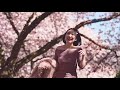 【温村看樱花】每年4 5月的粉色温哥华 cherry blossom in vancouver