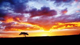 Whispering Wind - Nature HD