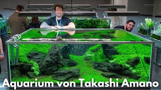 ADA Nature Aquarium by Takashi Amano -W180×D120×H60cm-