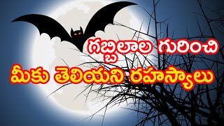 గబ్బిలాలు  - The Bats / గబ్బిలాల  జీవిత చరిత్ర మరియు విశేషాలు