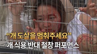 “개 도살을 멈춰주세요”…폭염 속 진행된 개 식용 반대 퍼포먼스